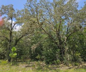 1368 W Evergreen Drive, Dunnellon, FL 34434