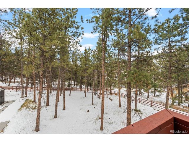 34431 Chilton Ave, Pine, CO 80470