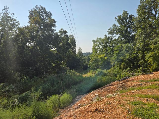 7378p Rr 7, Ava, MO 65608