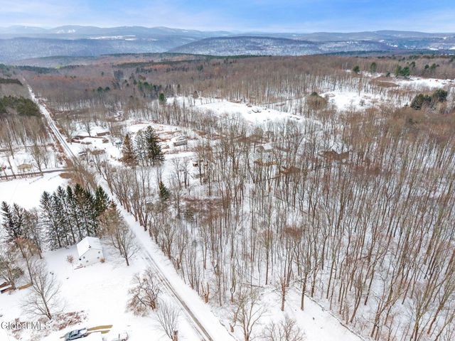 109 Rossman Hill Road, Summit, NY 12175