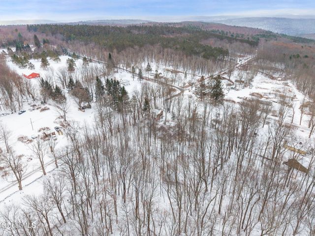 109 Rossman Hill Road, Summit, NY 12175