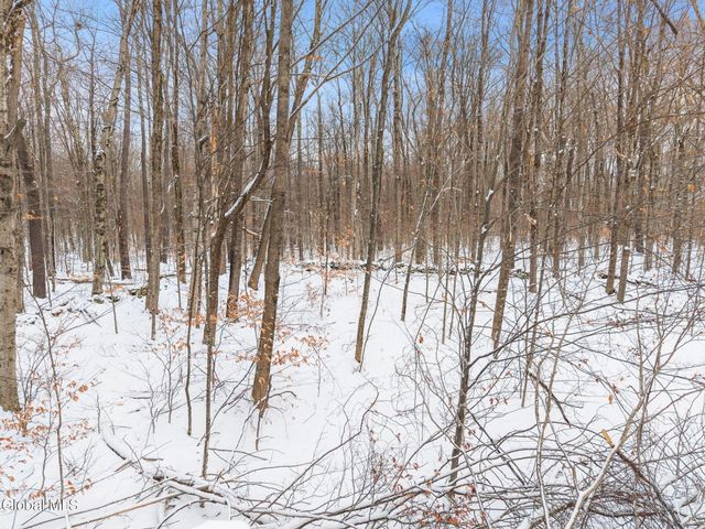 109 Rossman Hill Road, Summit, NY 12175