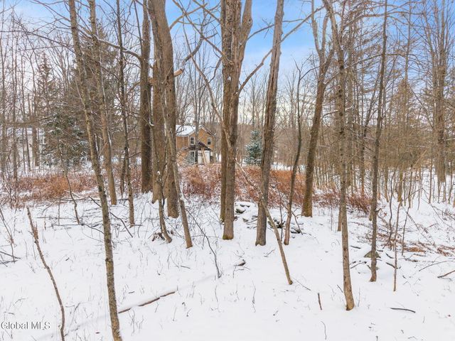 109 Rossman Hill Road, Summit, NY 12175