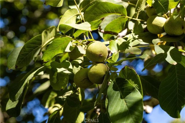 1604 Ca-45, Grimes, CA 95950