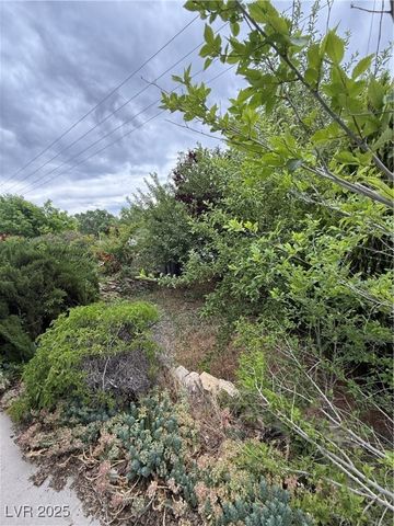 1104 High Street, Ely, NV 89301