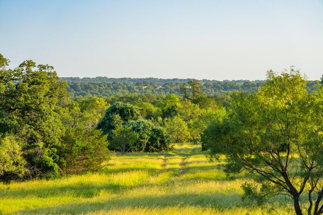0 Ligon-Smith Lane, Johnson City, TX 78636