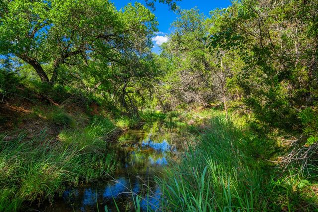 0 Ligon-Smith Lane, Johnson City, TX 78636