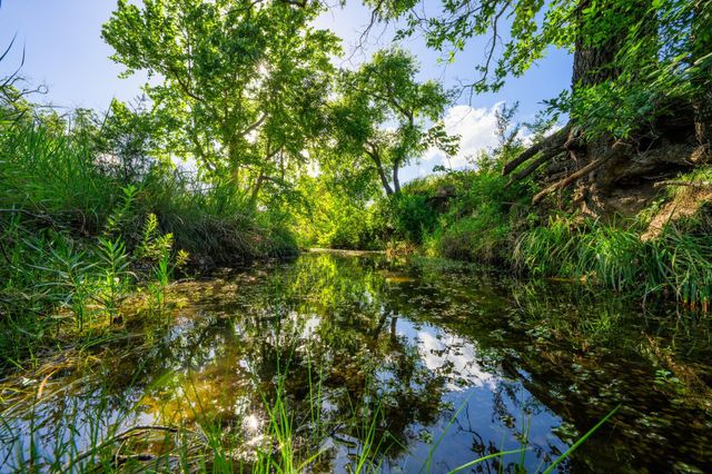 0 Ligon-Smith Lane, Johnson City, TX 78636