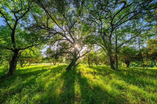 0 Ligon-Smith Lane, Johnson City, TX 78636