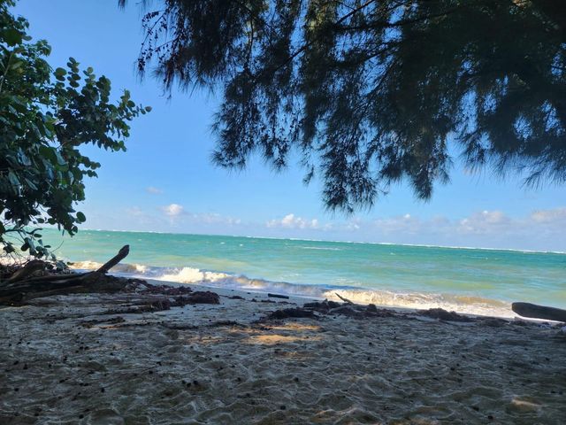 Bo Mediania Alta AQUATICA CONDO 4701, Loiza, PR 00772