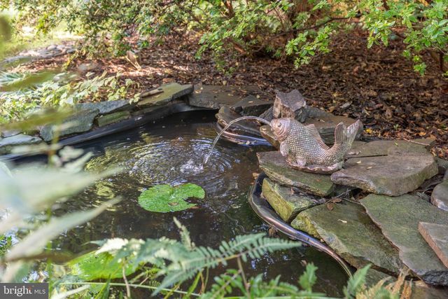 4920 PALISADE LN NW, Washington, DC 20016