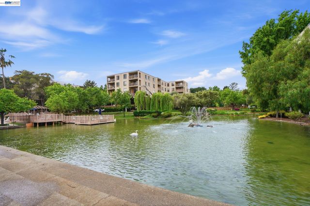 490 N Civic Dr 305, Walnut Creek, CA 94596