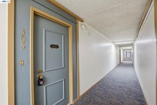 490 N Civic Dr 305, Walnut Creek, CA 94596