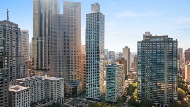 1000 N Lake Shore Plaza 13A, Chicago, IL 60611