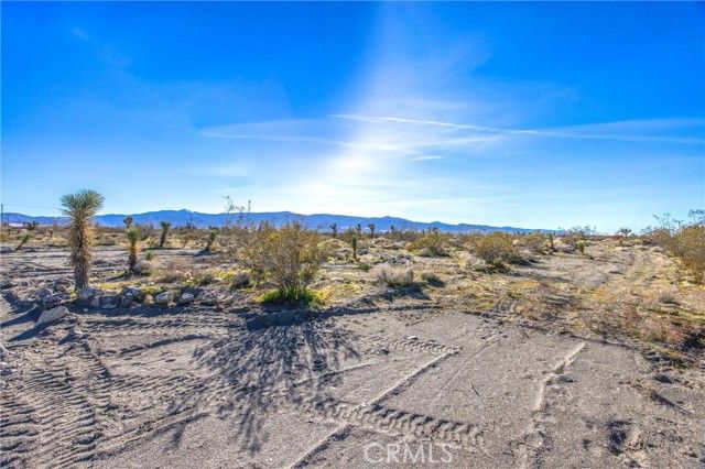 11788 Buckwheat, Pinon Hills, CA 92371