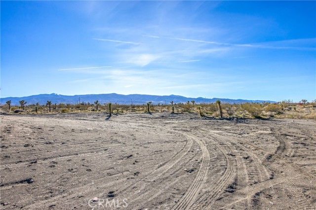 11788 Buckwheat, Pinon Hills, CA 92371