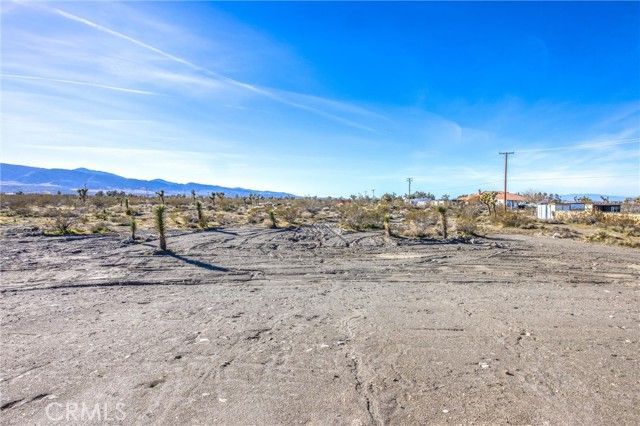 11788 Buckwheat, Pinon Hills, CA 92371