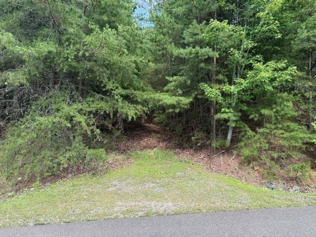 0 Owl Ridge Way, Jasper, GA 30143