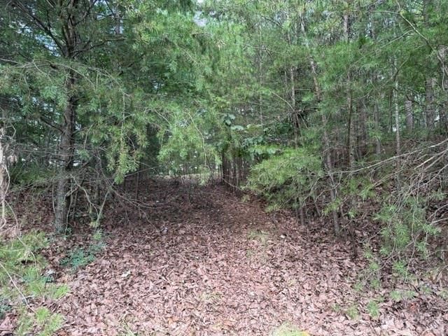0 Owl Ridge Way, Jasper, GA 30143