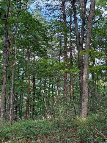 0 Owl Ridge Way, Jasper, GA 30143