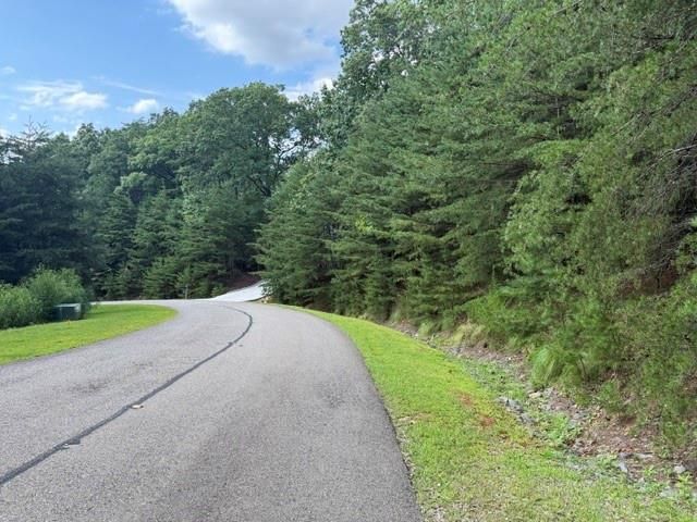 0 Owl Ridge Way, Jasper, GA 30143