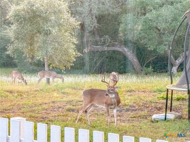 725 Private Road 1581, Hallettsville, TX 77964