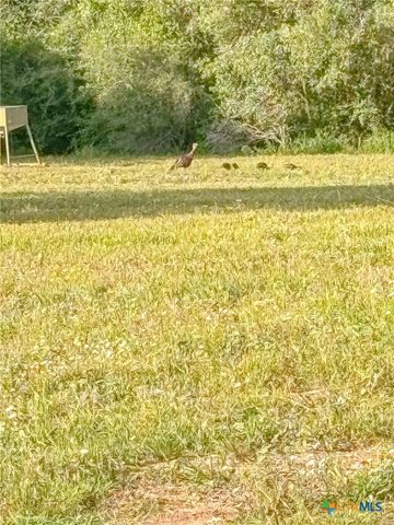 725 Private Road 1581, Hallettsville, TX 77964