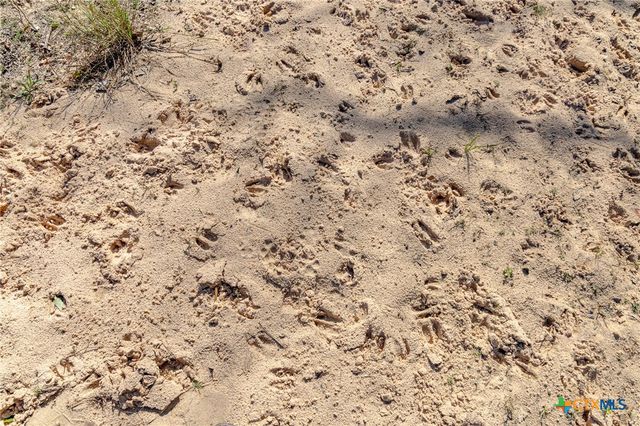 725 Private Road 1581, Hallettsville, TX 77964