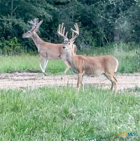 725 Private Road 1581, Hallettsville, TX 77964