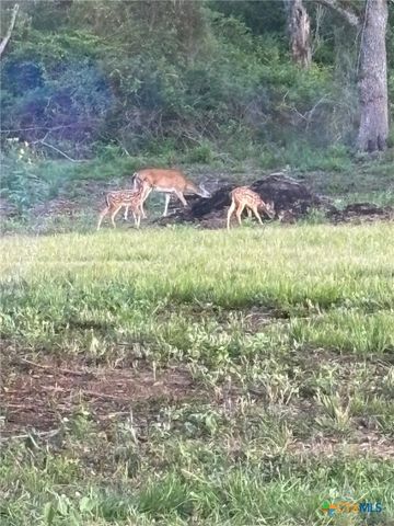 725 Private Road 1581, Hallettsville, TX 77964