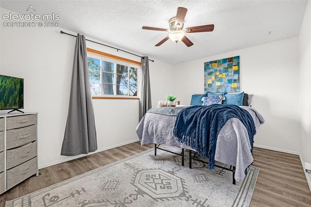4242 Amiable Way, Colorado Springs, CO 80917