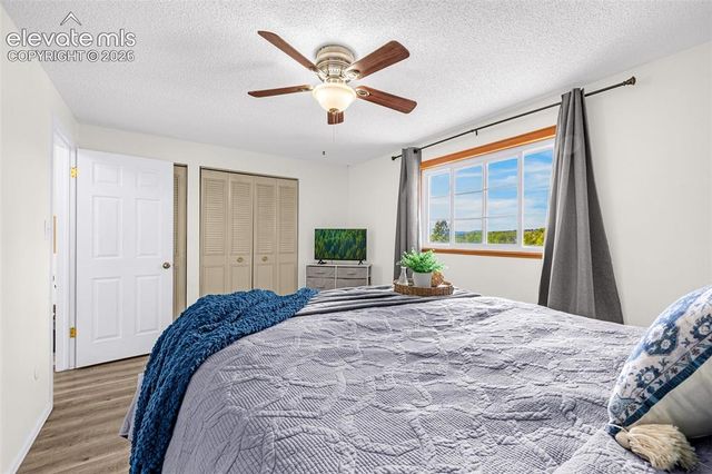 4242 Amiable Way, Colorado Springs, CO 80917