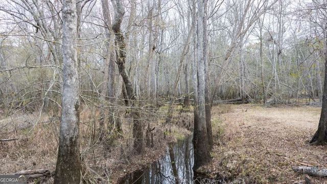 4980 Coleman Bridge Spur Road, Cobbtown, GA 30420