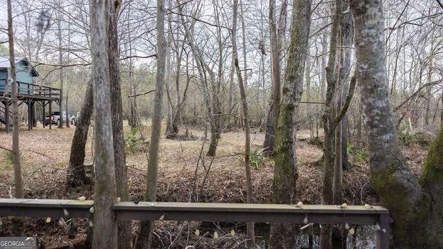 4980 Coleman Bridge Spur Road, Cobbtown, GA 30420