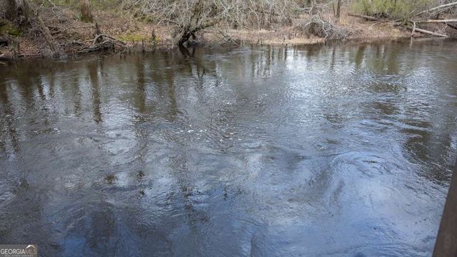 4980 Coleman Bridge Spur Road, Cobbtown, GA 30420