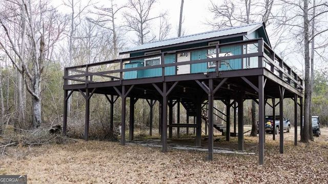 4980 Coleman Bridge Spur Road, Cobbtown, GA 30420