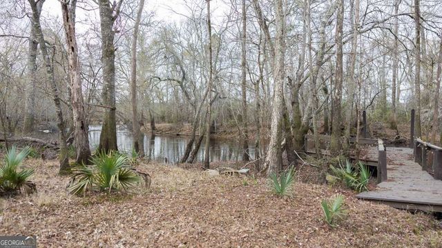 4980 Coleman Bridge Spur Road, Cobbtown, GA 30420