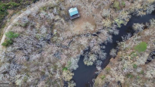 4980 Coleman Bridge Spur Road, Cobbtown, GA 30420