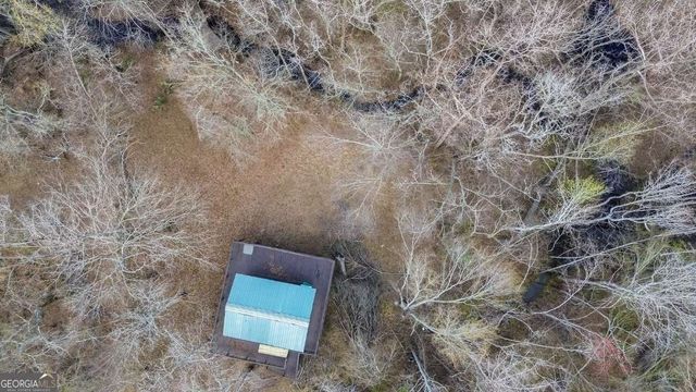 4980 Coleman Bridge Spur Road, Cobbtown, GA 30420