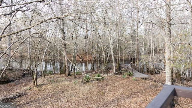 4980 Coleman Bridge Spur Road, Cobbtown, GA 30420