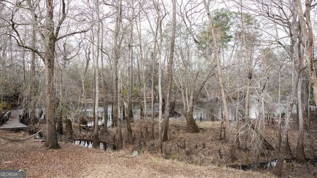 4980 Coleman Bridge Spur Road, Cobbtown, GA 30420