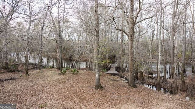 4980 Coleman Bridge Spur Road, Cobbtown, GA 30420