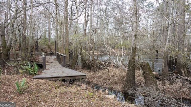 4980 Coleman Bridge Spur Road, Cobbtown, GA 30420