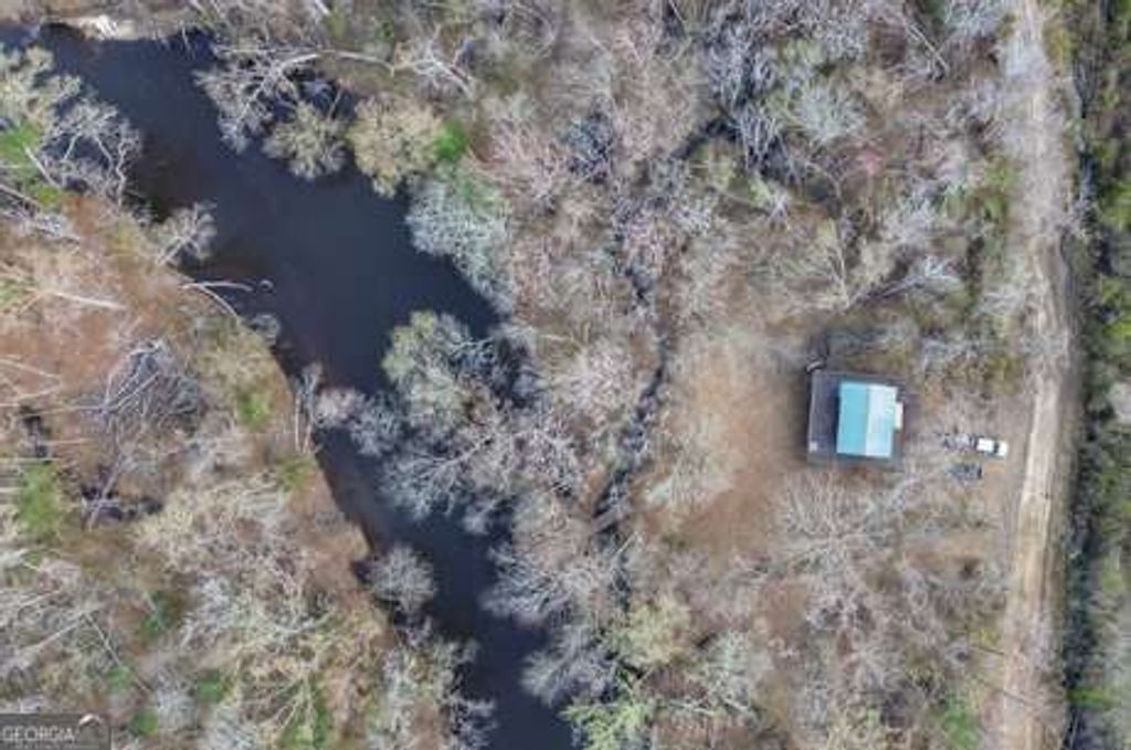 4980 Coleman Bridge Spur Road, Cobbtown, GA 30420