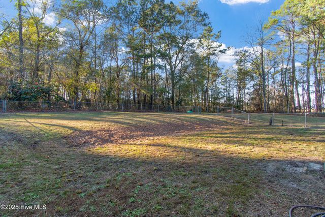 50 Irvin Enzor Road S, Fair Bluff, NC 28439
