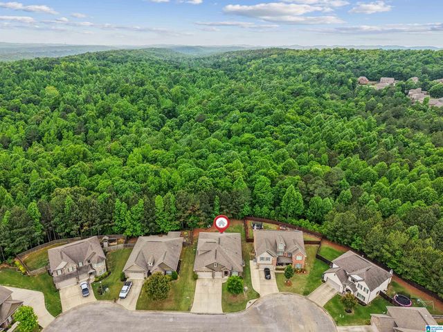 42 WATERFORD PLACE, Trussville, AL 35173