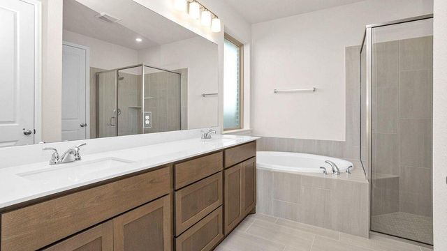 42548 Edmund Rucker Lane, Magnolia, TX 77354