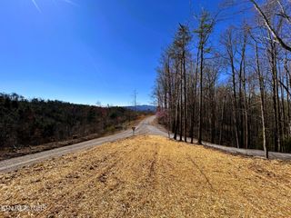107 Chestnut Mountain Road, Reliance, TN 37369