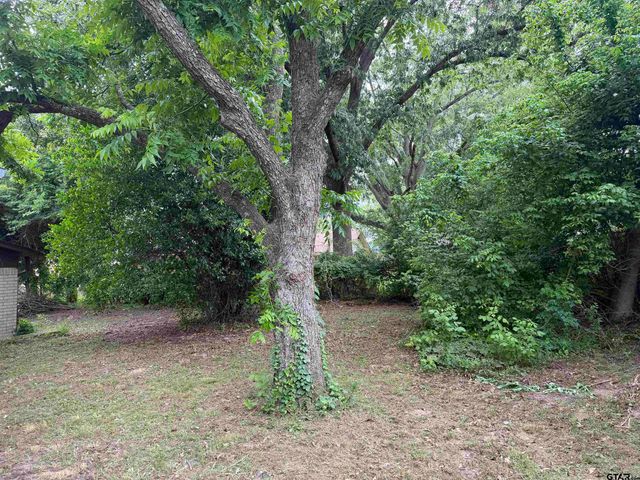 13736 C R 1188, Tyler, TX 75709