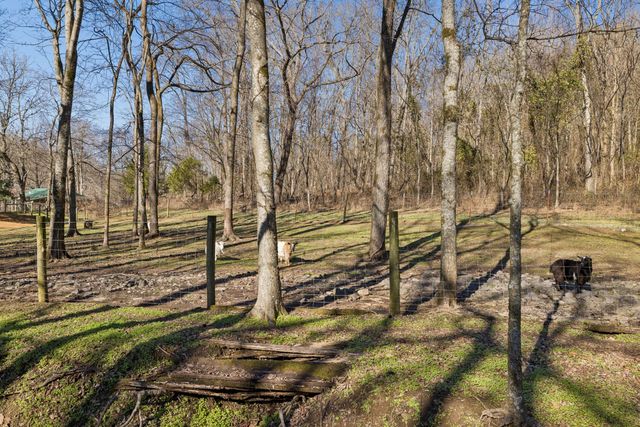 6771 Bethesda Arno Rd, Thompsons Station, TN 37179